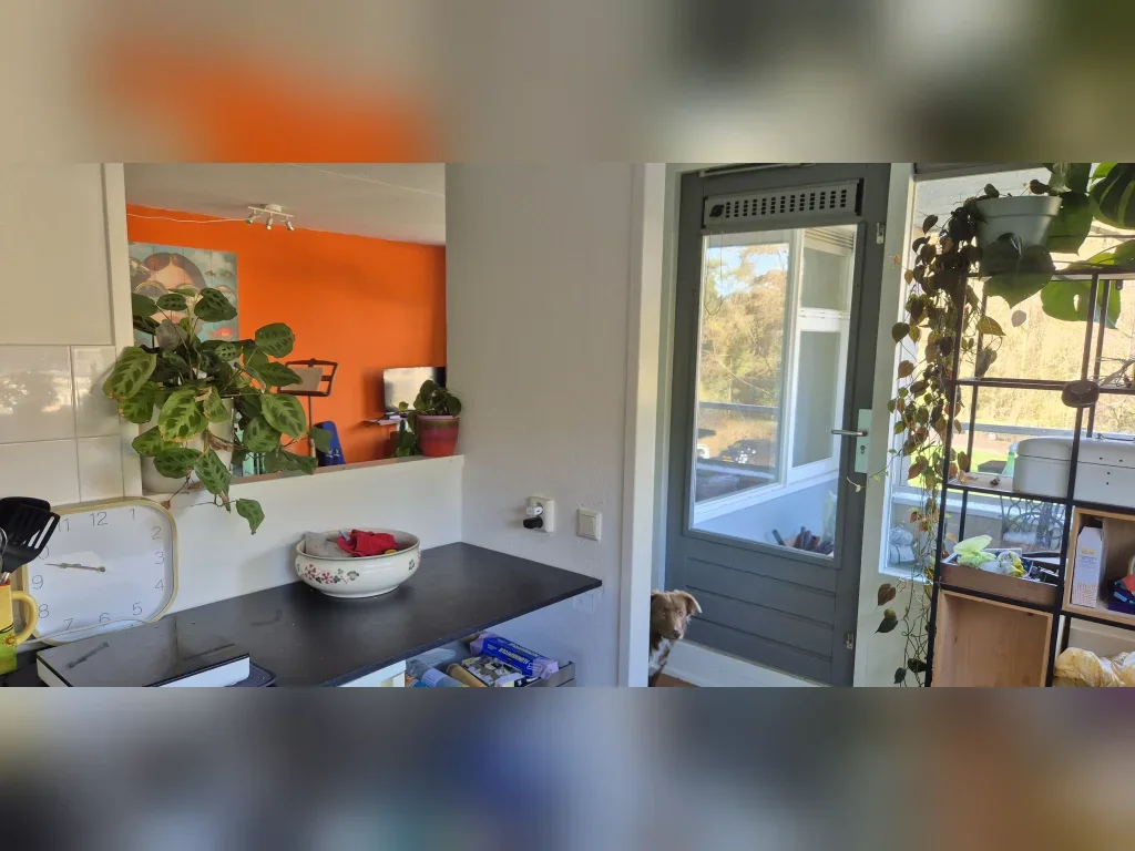 Appartement Mendelssohnlaan in Arnhem