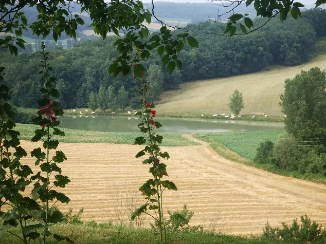 Maison Chemin de Blaymont à Blaymont