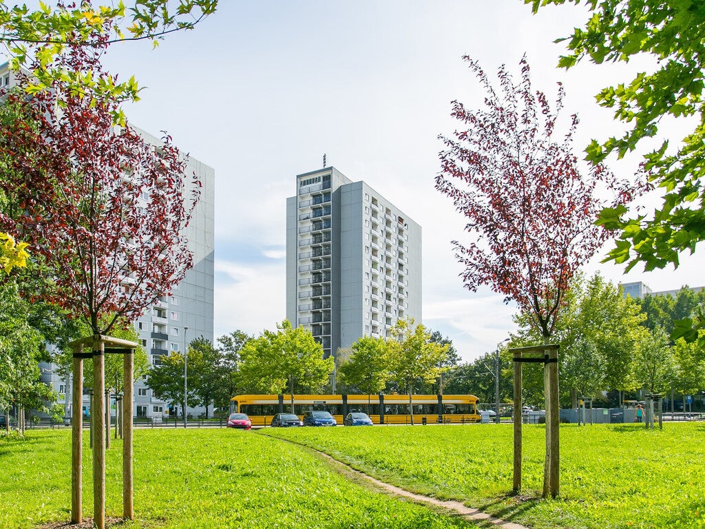 Wohnung Albert-Wolf-Platz in Dresden