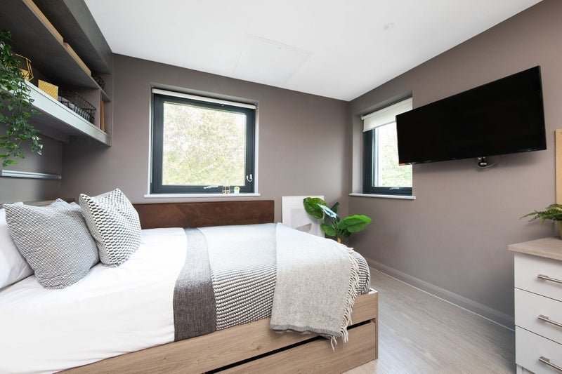 Room Newport Road Lane in Cardiff