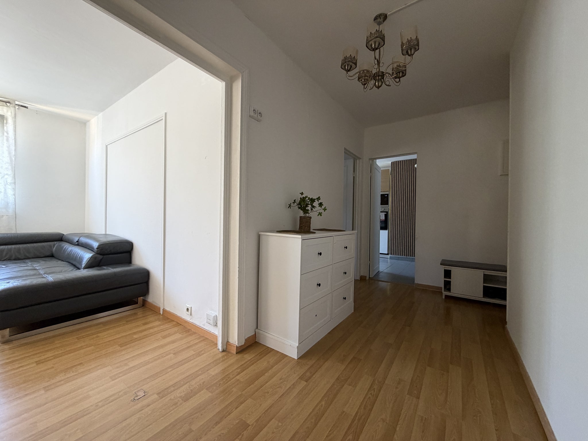 Appartement Rue Alexandre Bérard à Rillieux-la-Pape