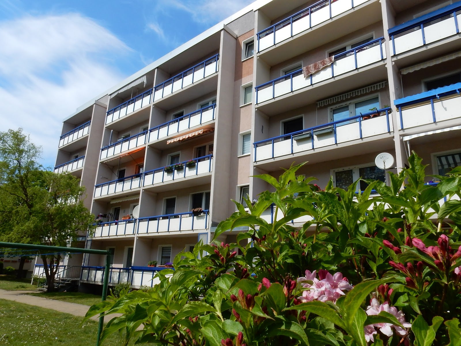 Wohnung Am Wiesengrund in Görlitz