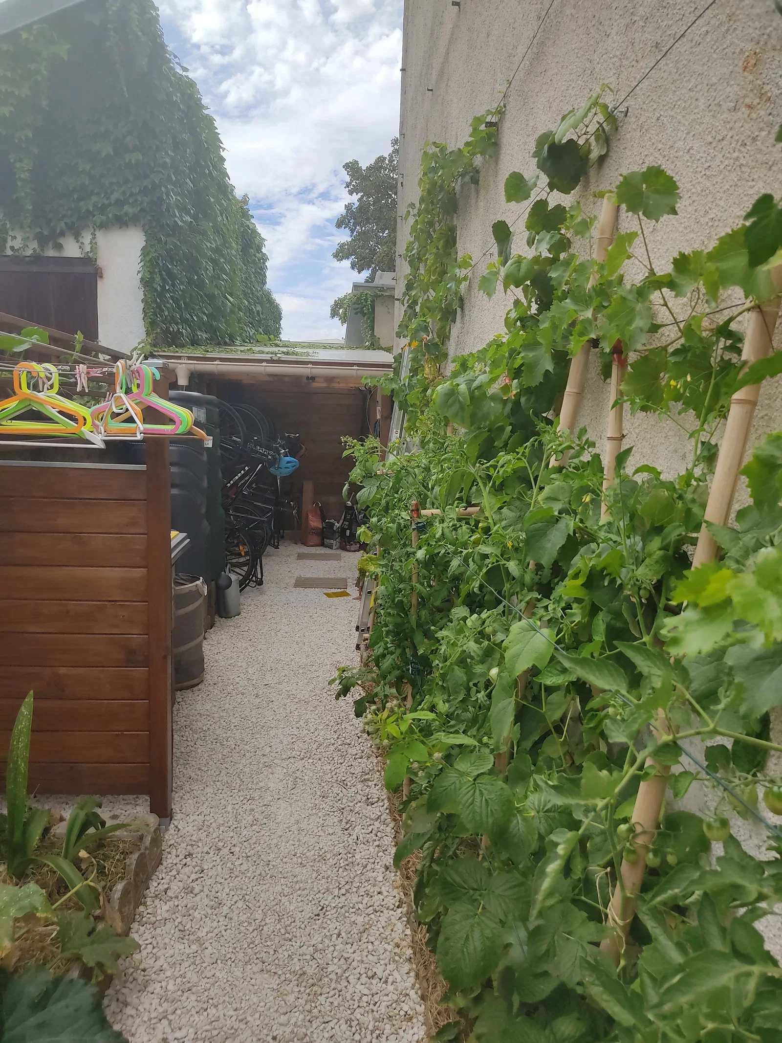 Room Rue Louis Pergaud in Besançon