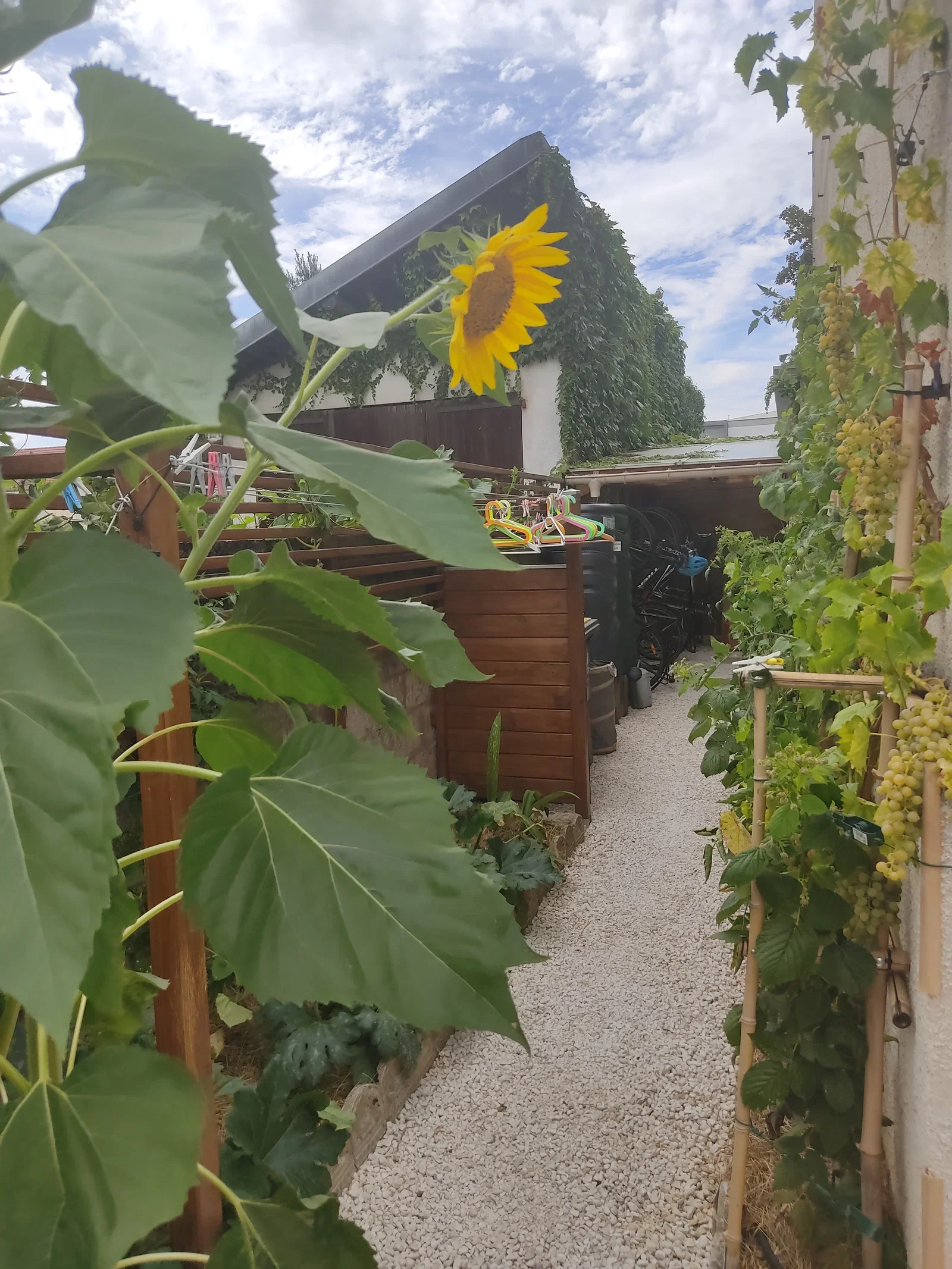 Room Rue Louis Pergaud in Besançon