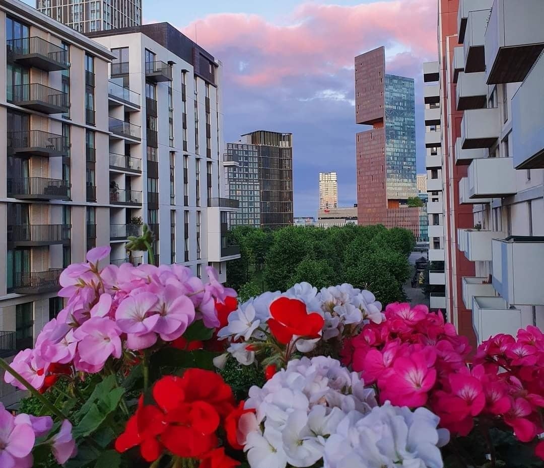 Room Honour Lea Avenue in Greater London