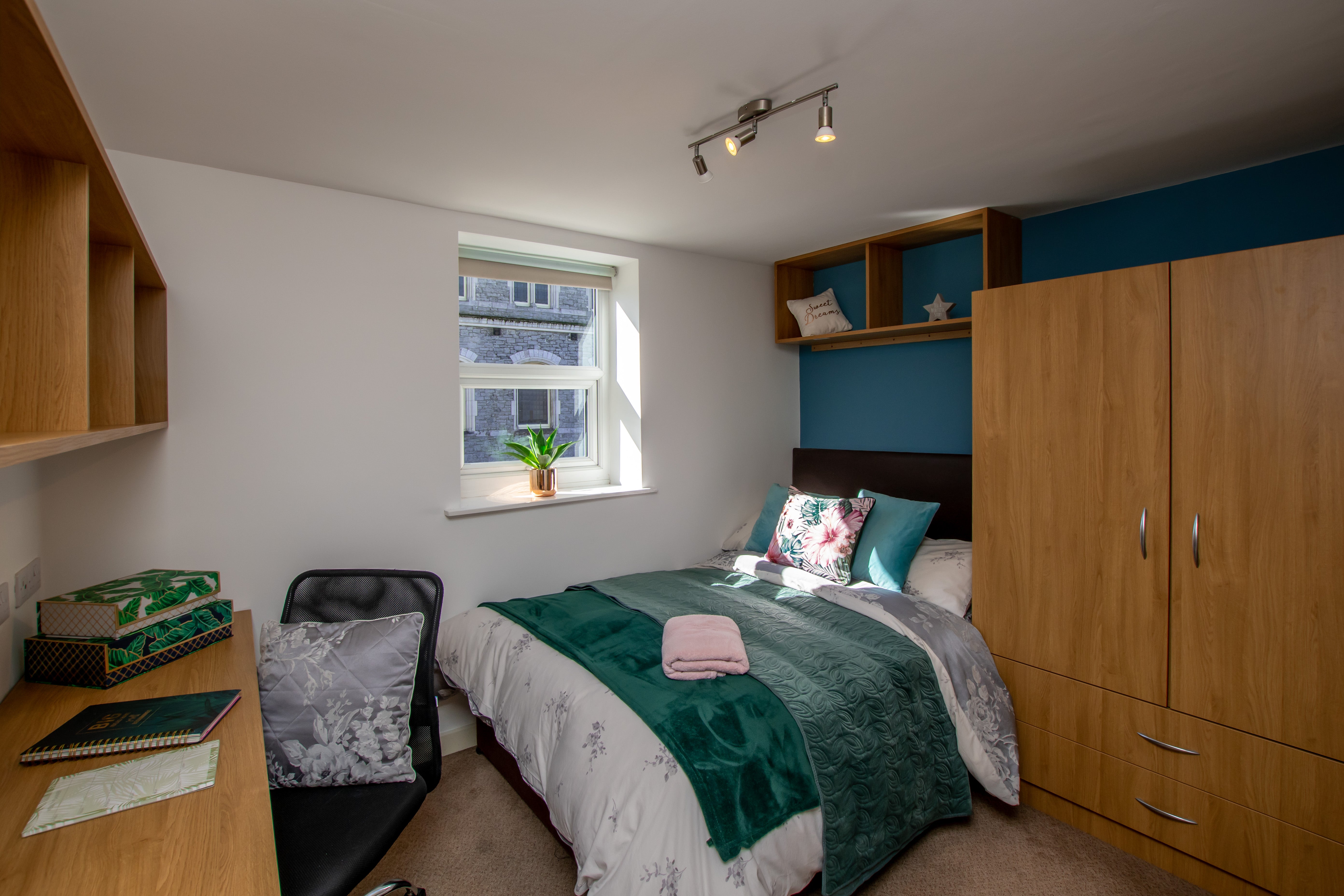 Room Mutley Plain in Plymouth