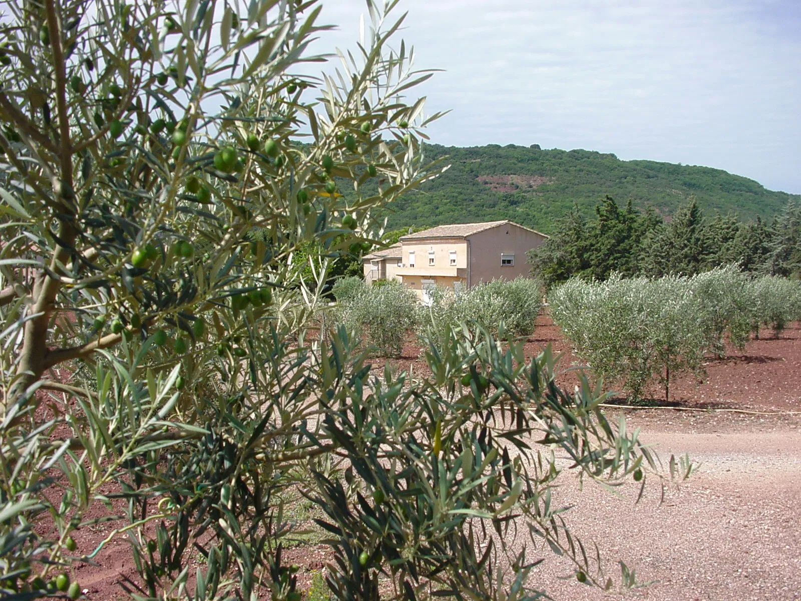 House La Méridienne in Le Bosc