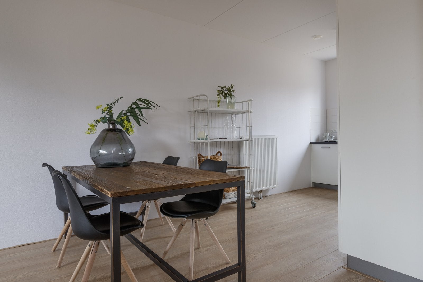 House Wrijfschaalpad in Oss