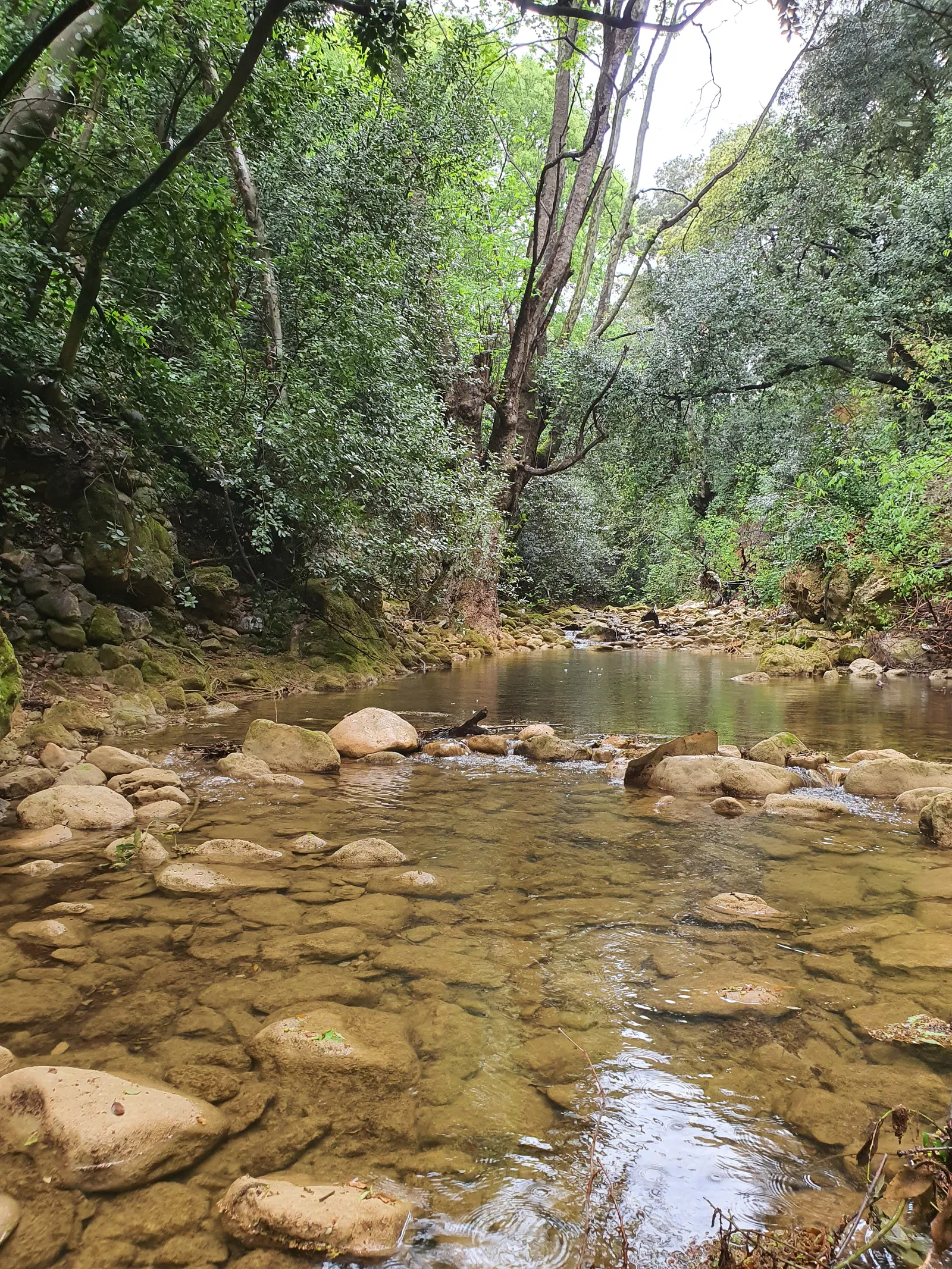 Chambre Chemin du Béal à Toulon