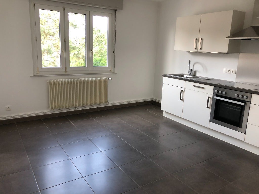 Appartement Rue Charles Marie Widor à Colmar