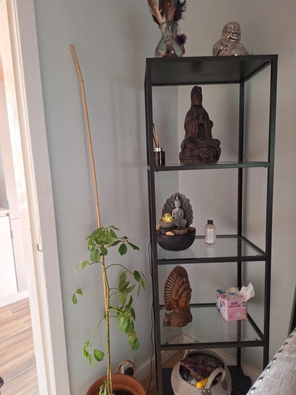 Room Laburnum Road in Viewpark