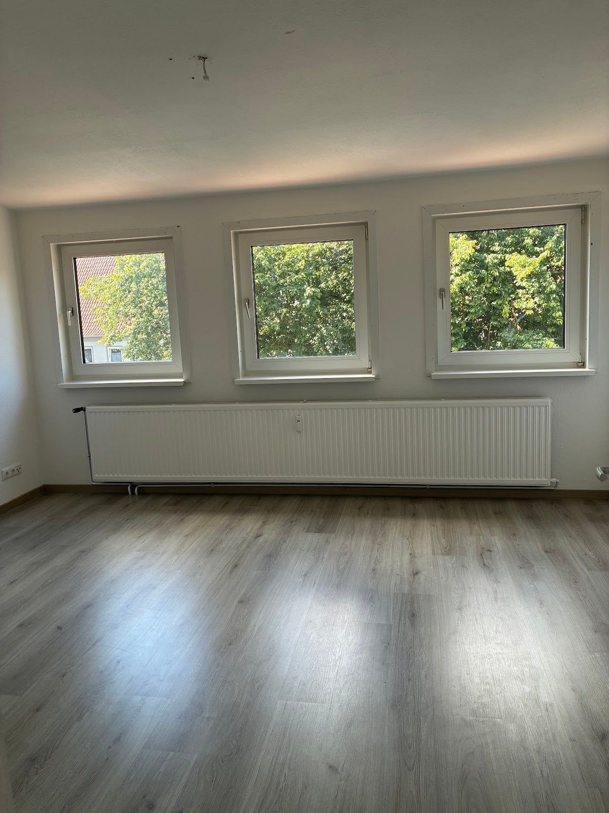 Wohnung Alter Mühlenweg in Salzgitter