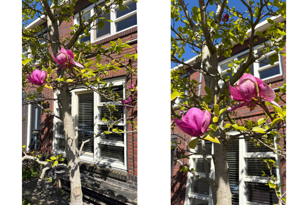 Tussenwoning te koop: Hendrik de Keyzerlaan 87, Eindhoven