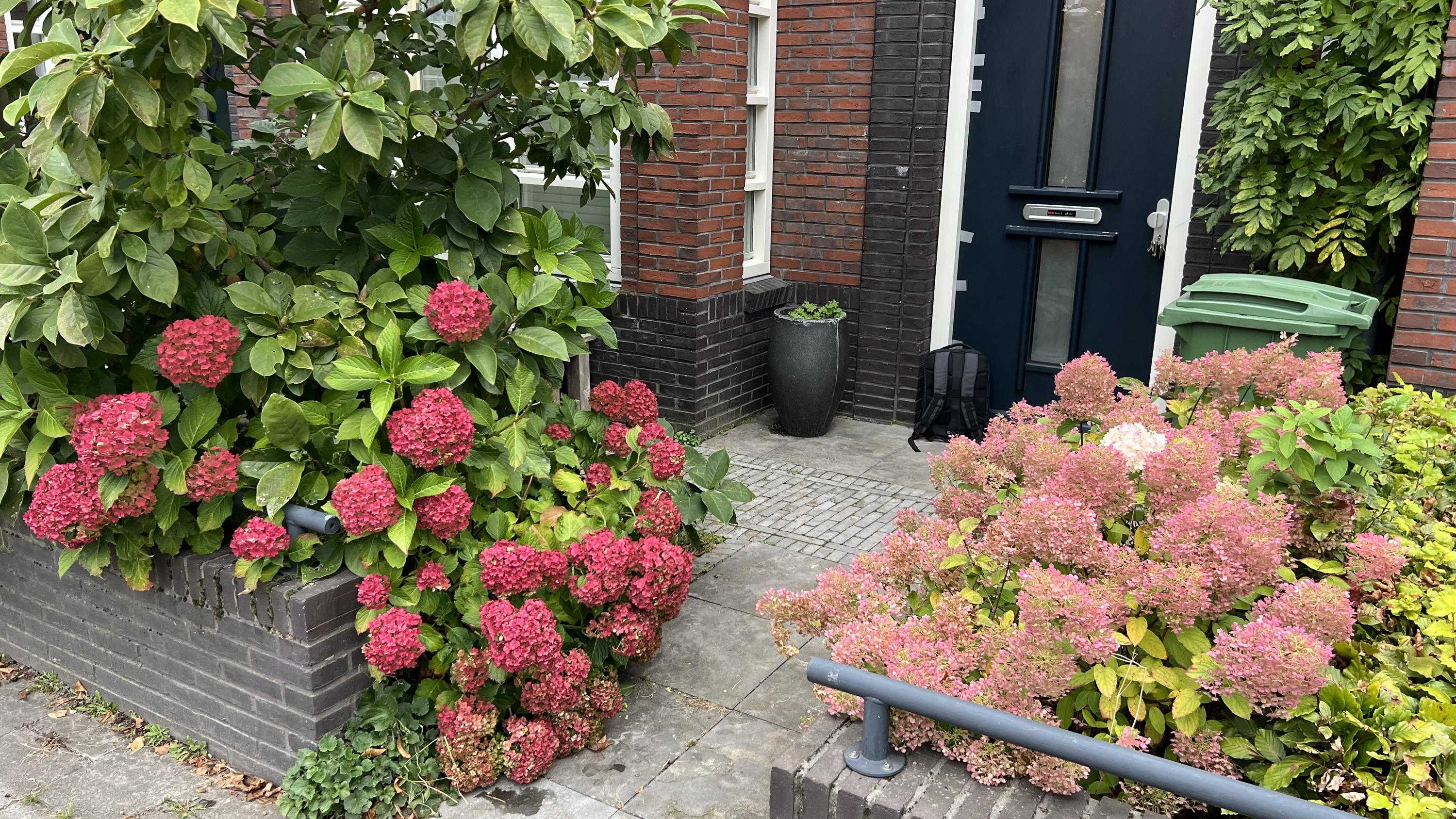 Tussenwoning te koop: Hendrik de Keyzerlaan 87, Eindhoven