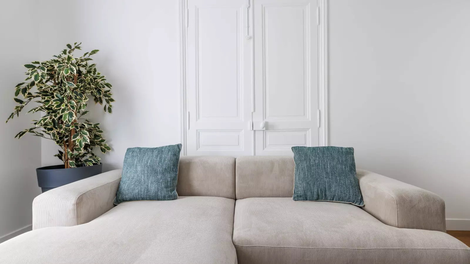 Flat Rue Belhomme in Paris