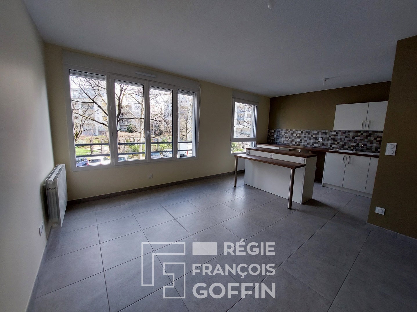 Flat Avenue Général Frère in Lyon