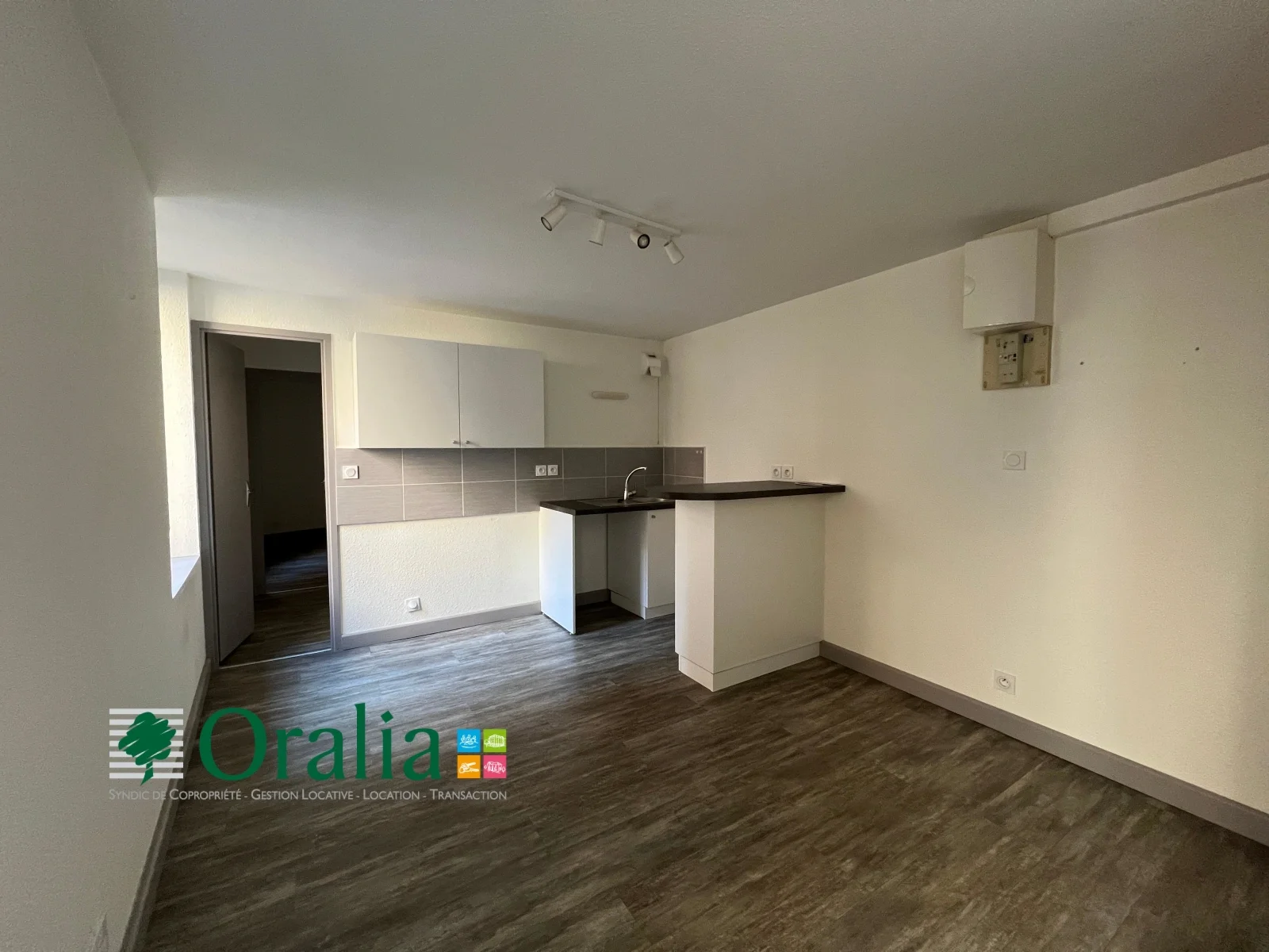 Appartement Rue Anna Bibert à Tarare