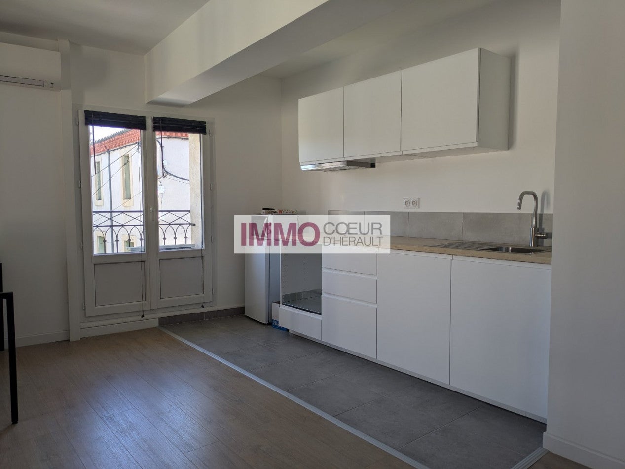 Appartement Rue Doyen René Gosse à Clermont-l'Hérault