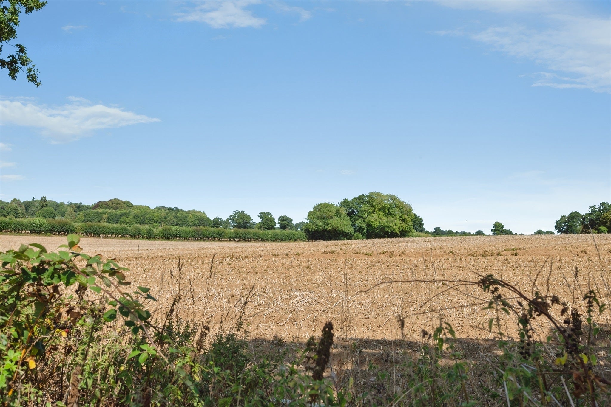 House Wood Lane in Broadland