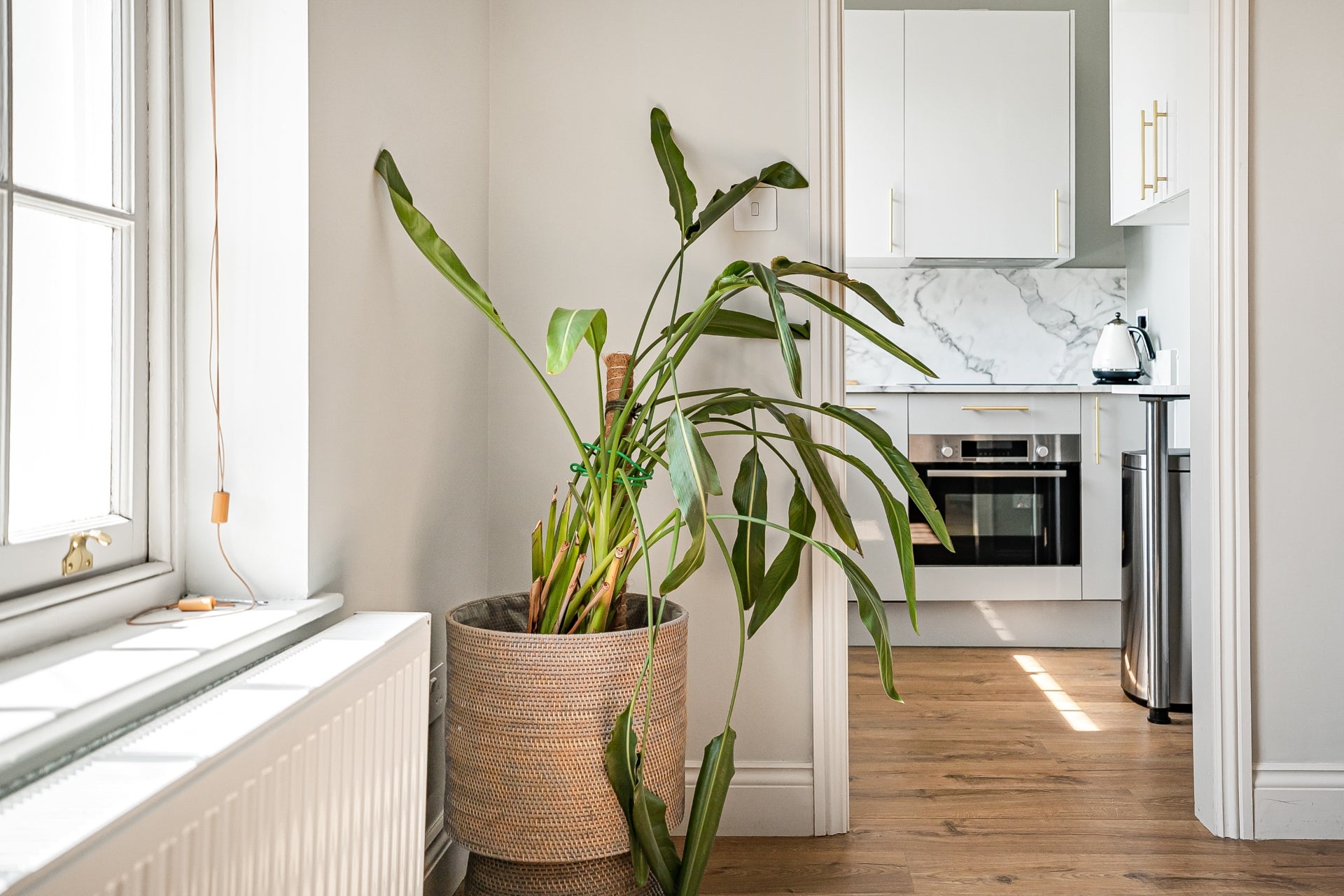 Flat Stamford Road in Greater London