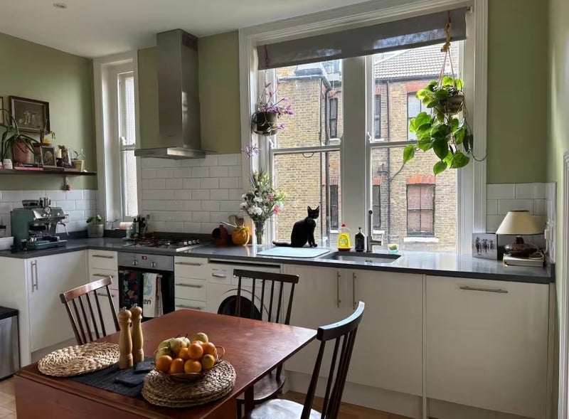 Room Mowll Street in Greater London