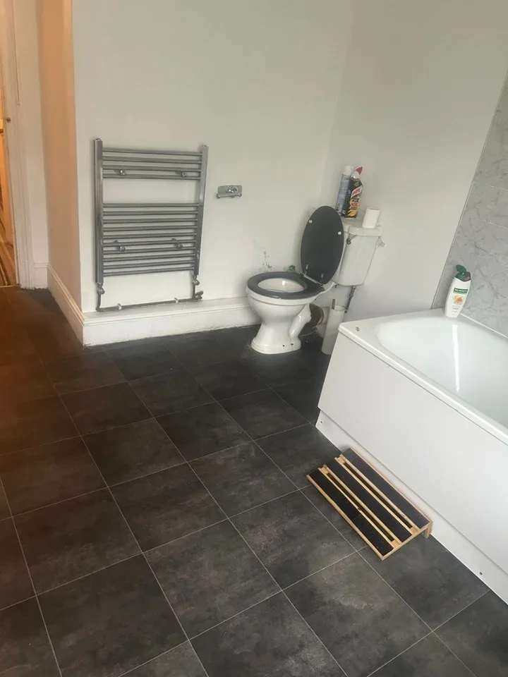 Room Pellerin Road in Greater London
