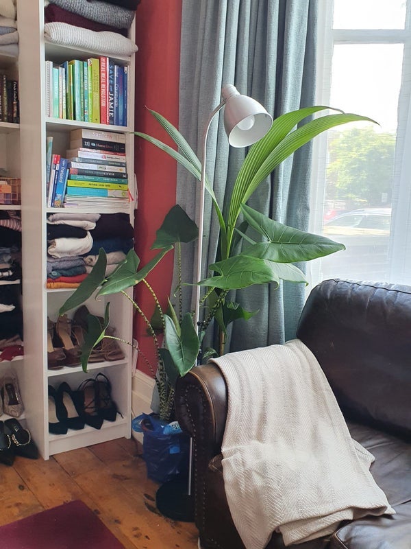 Room Riversdale Road in Greater London