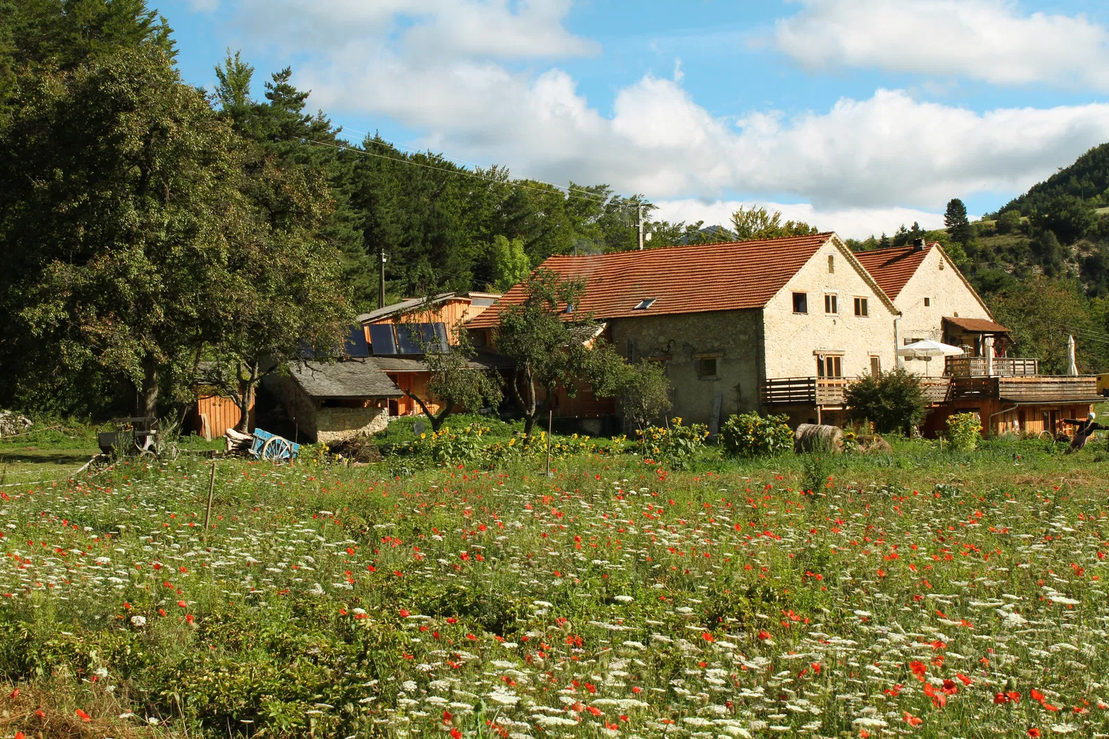 Chambre D 348 à Boulc