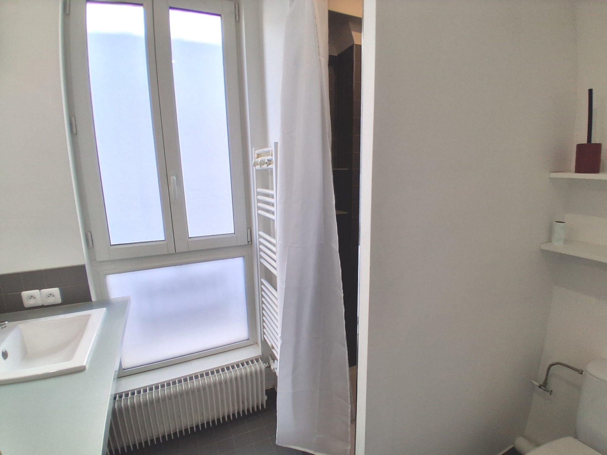 Flat Rue Robert Lindet in Paris