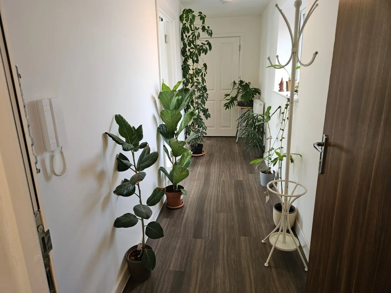 Flat Rayon Close in Greater London