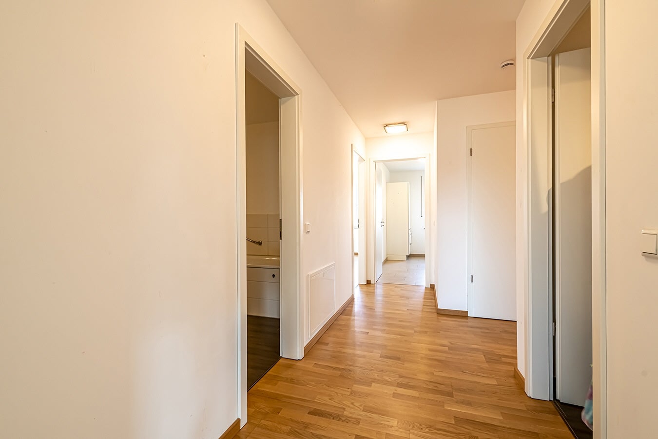 Wohnung Stübelallee in Dresden