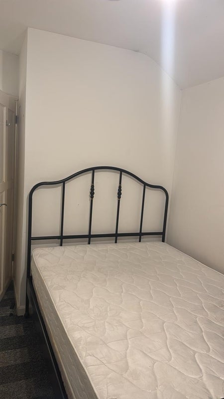 Room Springfield Avenue in Bristol