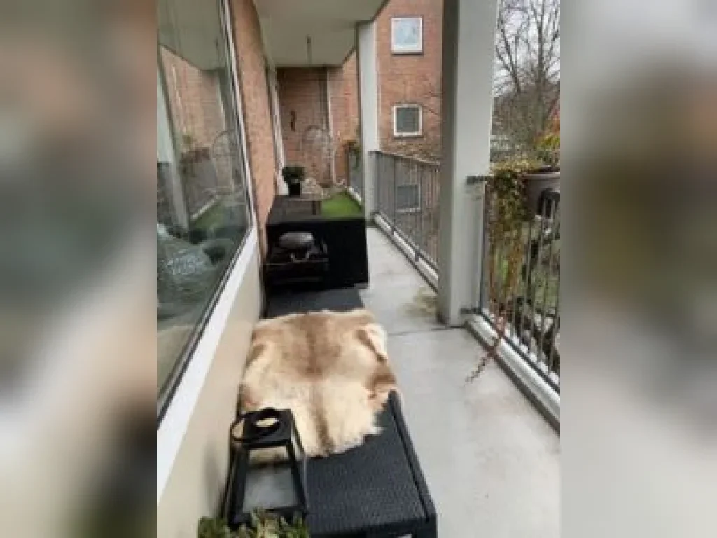 Flat Persijn in Amsterdam
