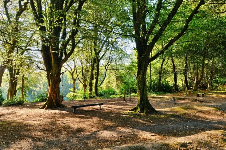 House Heather Lane in Lelant Saltings