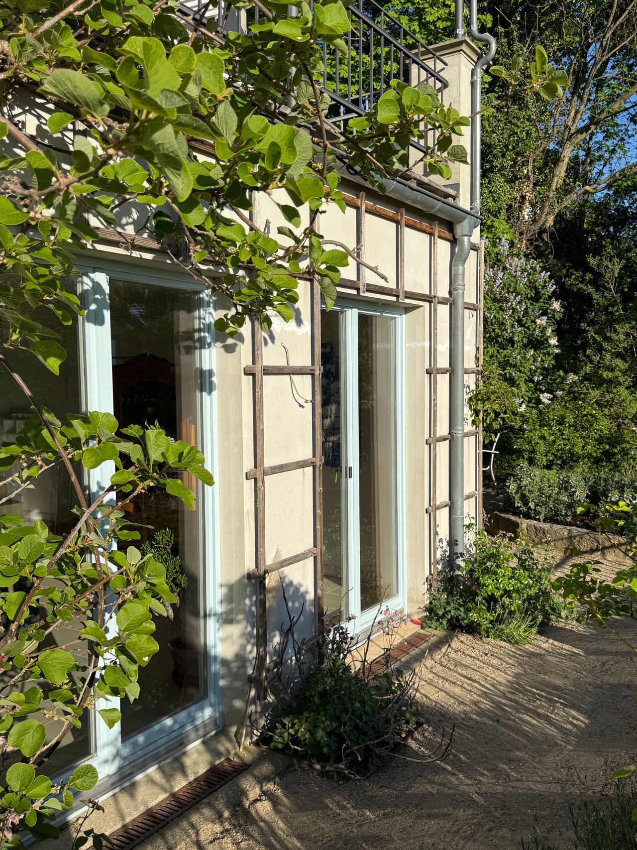 Wohnung Kügelgenstraße in Dresden