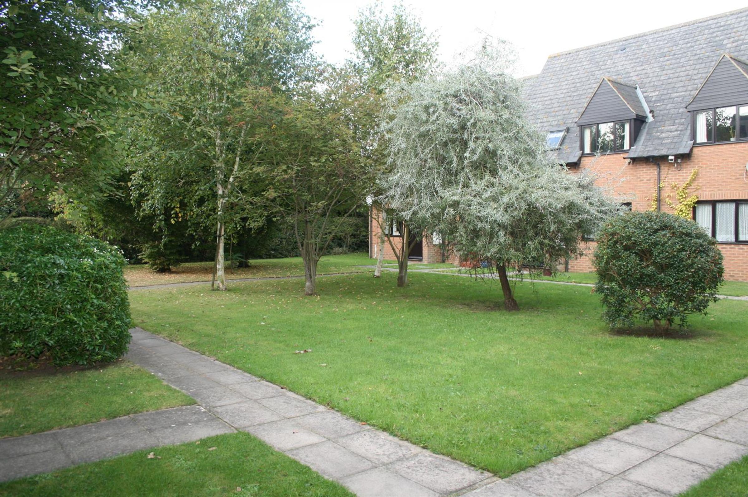 Flat Poplars Close in Stone