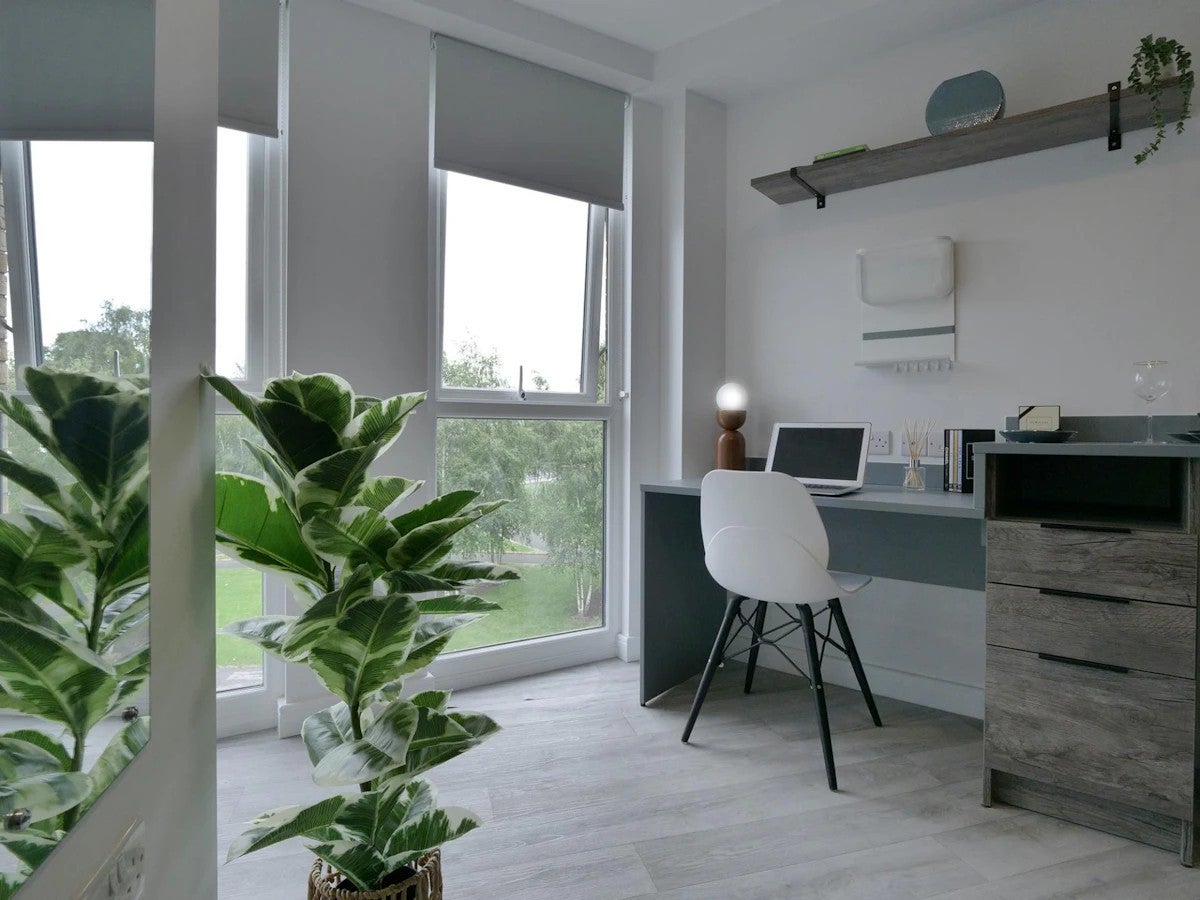 Room Ashmoor Street in Preston