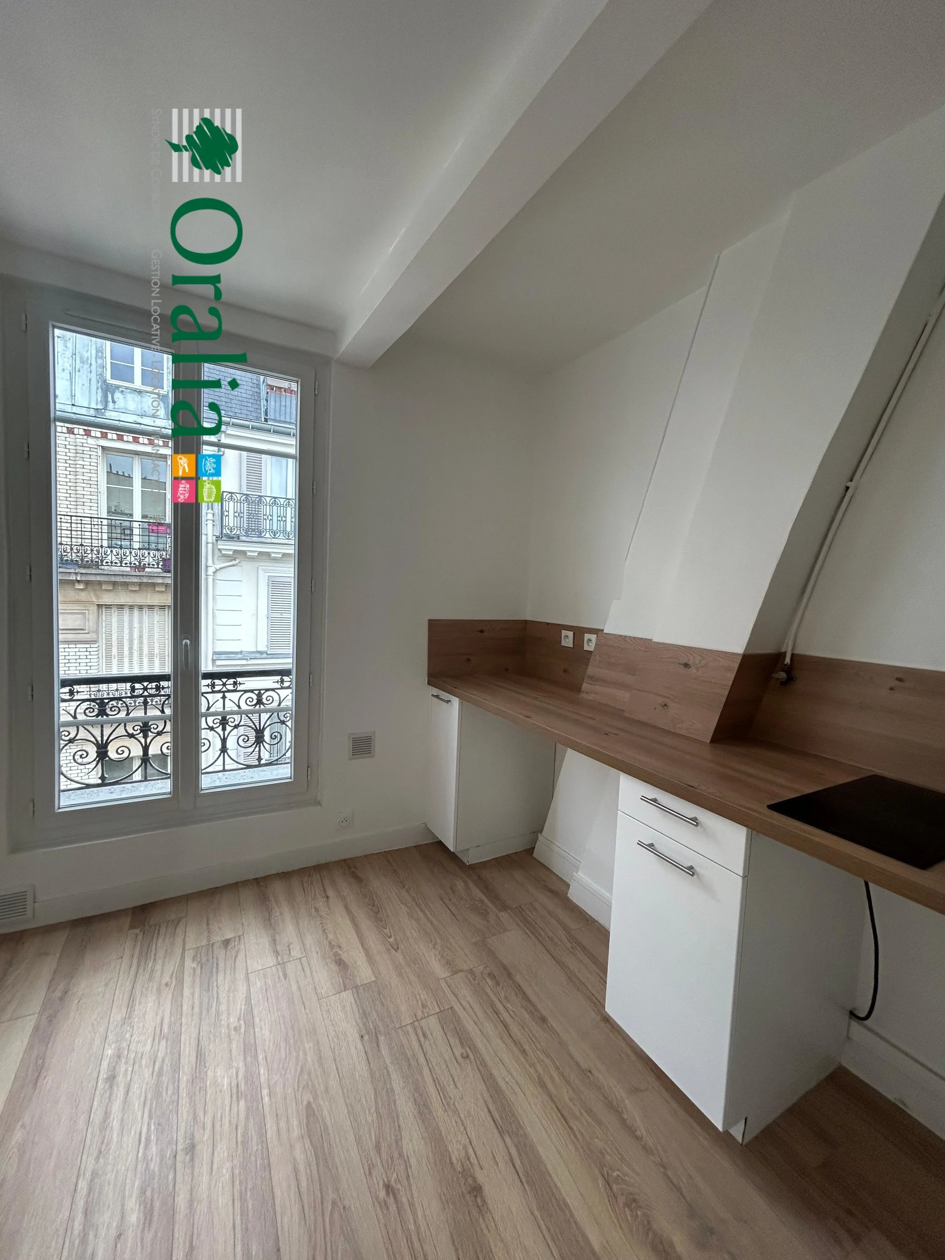 Flat Rue Amelot in Paris