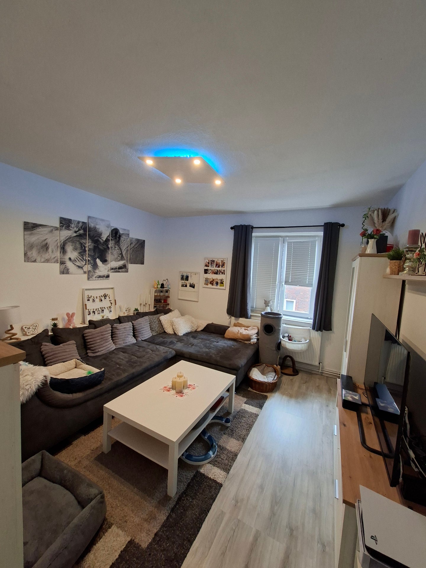 Wohnung Elsässer Straße in Bremerhaven