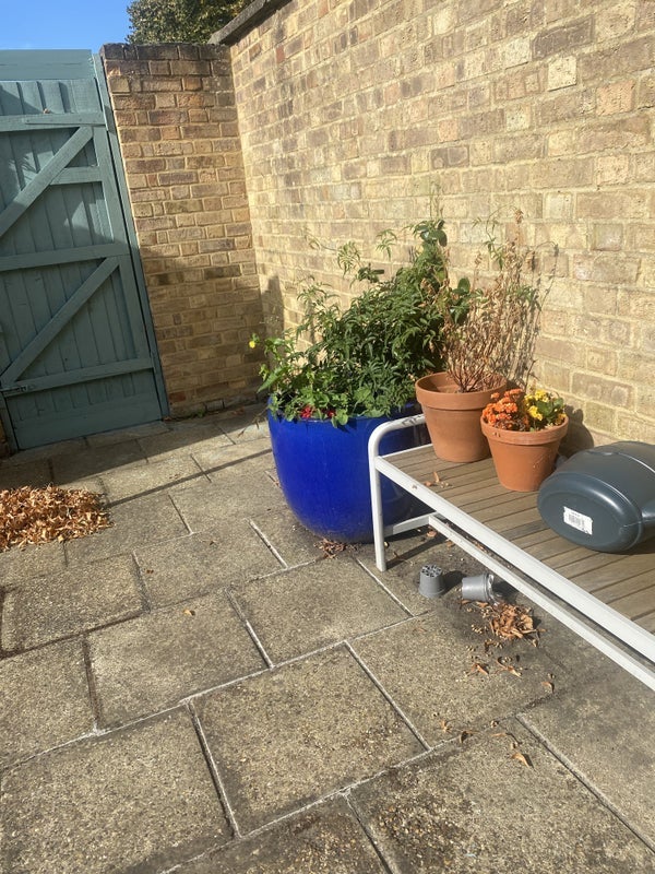 Room Sandal Street in Greater London