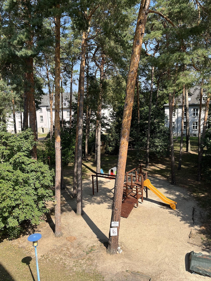 Wohnung Birkenallee in Roßlau