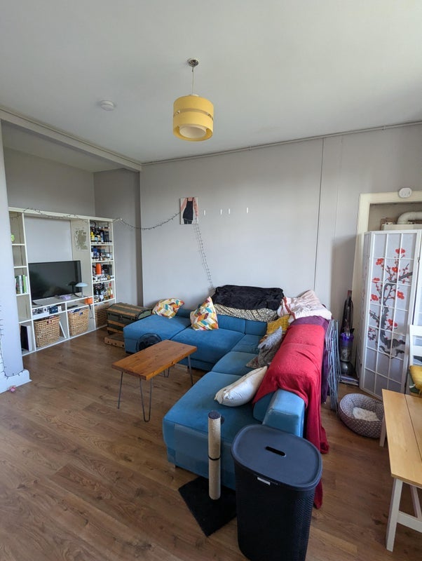 Room Lorne Street in City of Edinburgh