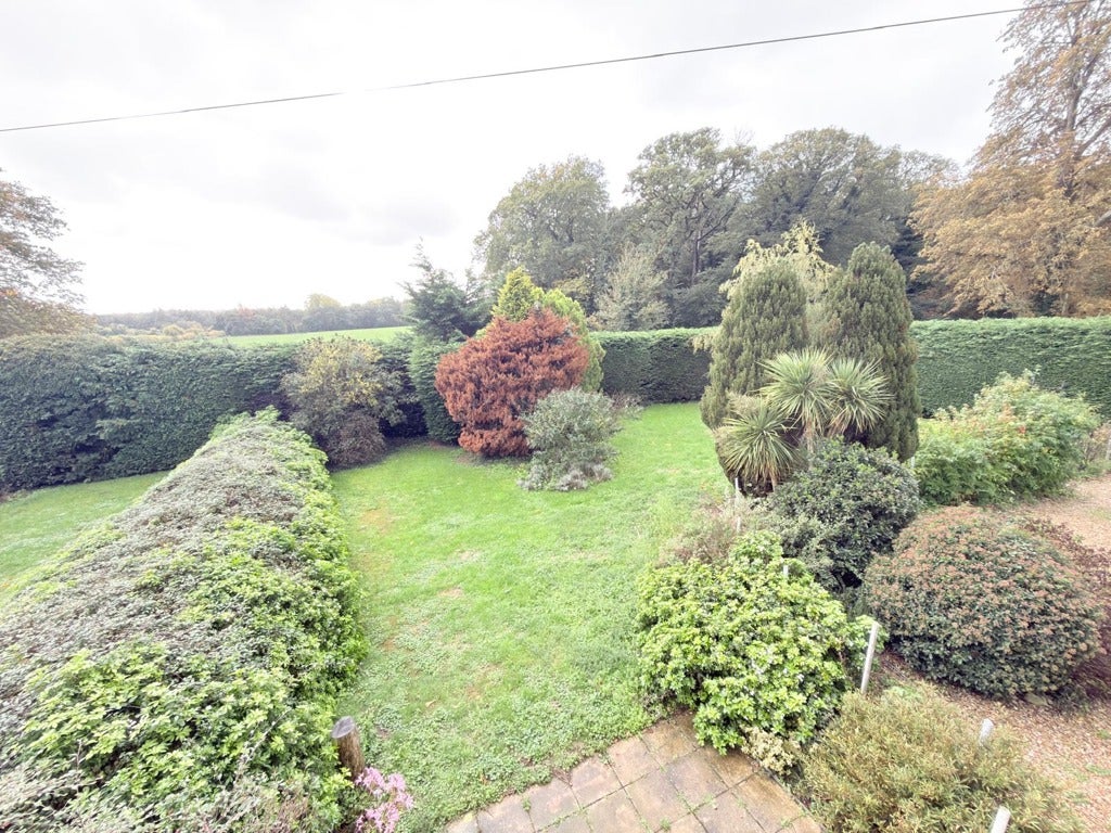 House Lexham Road in Breckland District