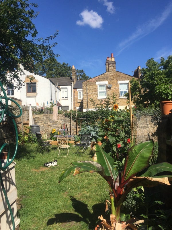 Room Harlescott Road in Greater London