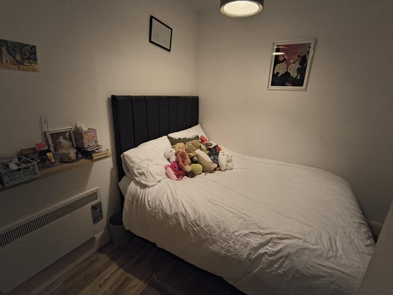 Room Holloway Road in Greater London