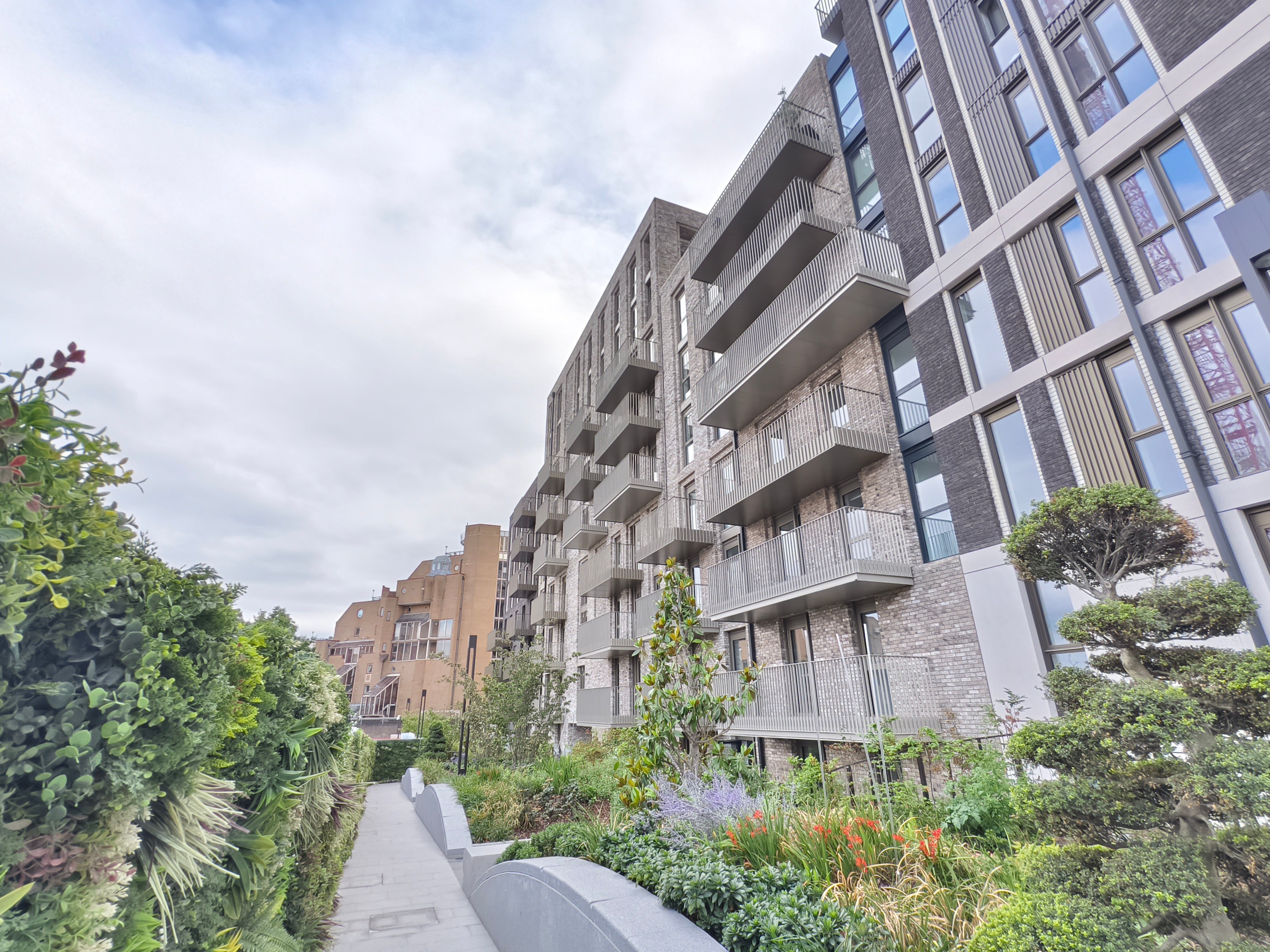 Flat Boxwood Gardens in Greater London