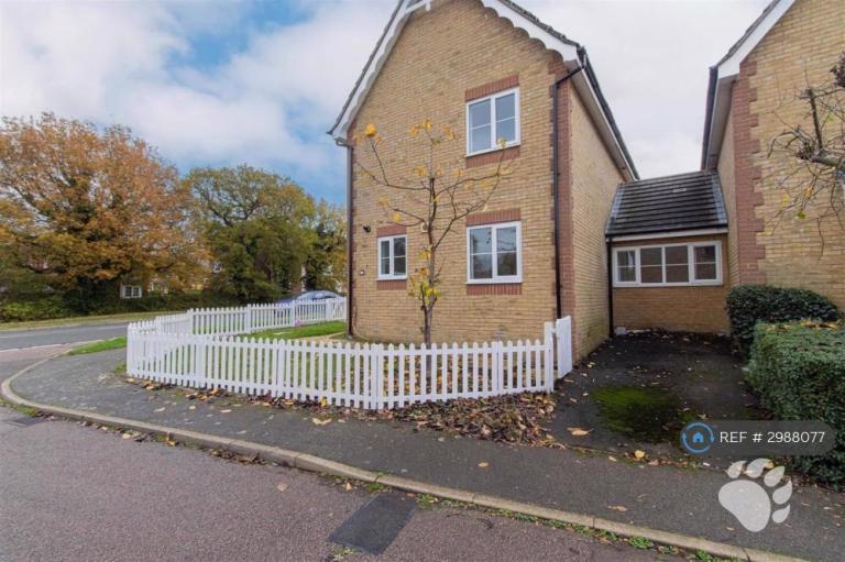 House Mahonia Drive in Basildon