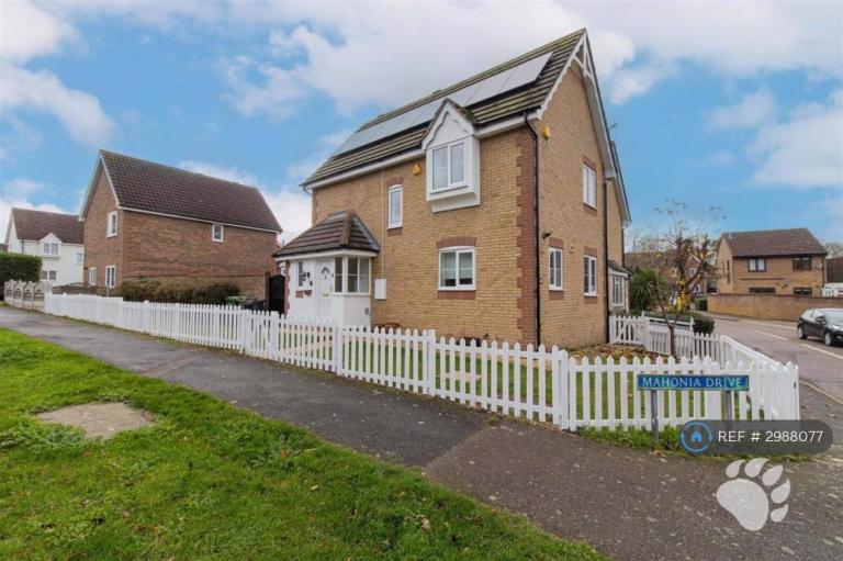 House Mahonia Drive in Basildon