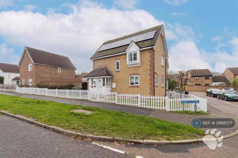 House Mahonia Drive in Basildon