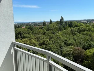 Wohnung Michelangelostraße in Dresden